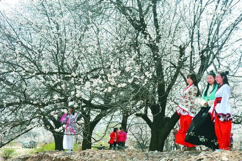 JRS雨燕篮球直播 精彩瞬间